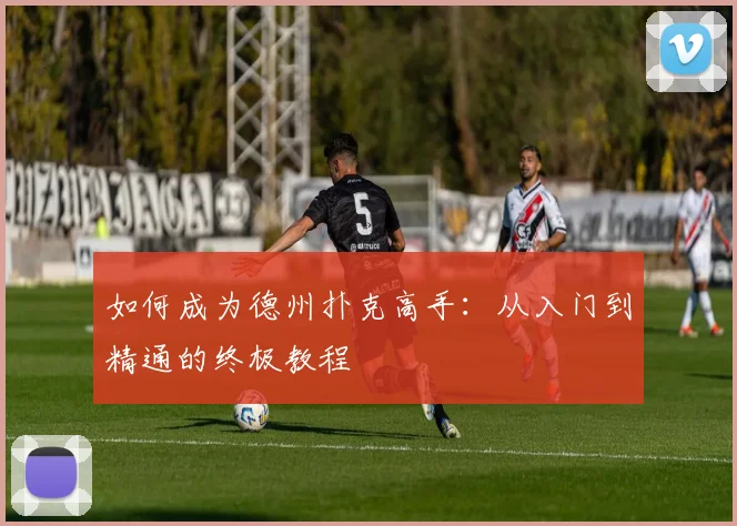 如何成为德州扑克高手：从入门到精通的终极教程