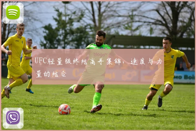 UFC轻量级终结高手集锦，速度与力量的结合