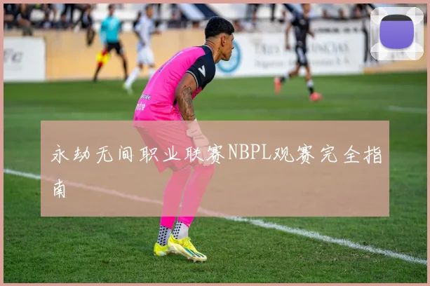 永劫无间职业联赛NBPL观赛完全指南