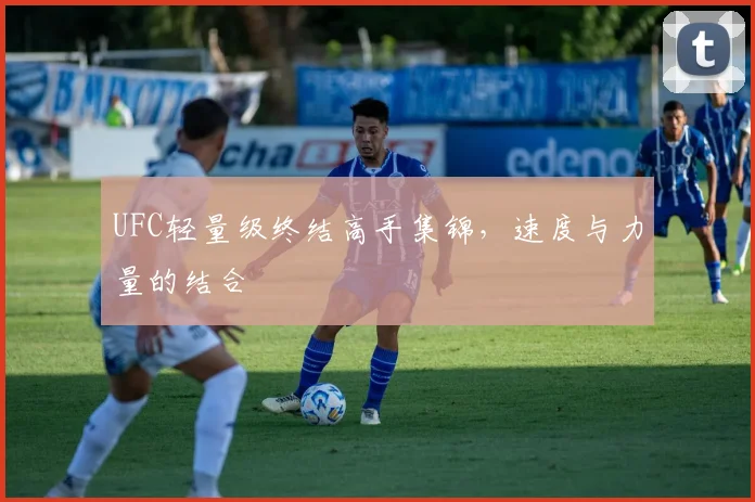 UFC轻量级终结高手集锦，速度与力量的结合