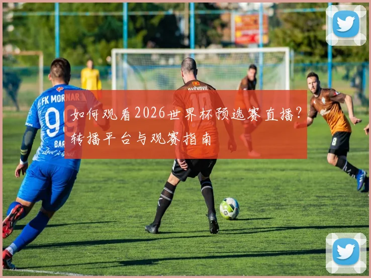 如何观看2026世界杯预选赛直播?转播平台与观赛指南