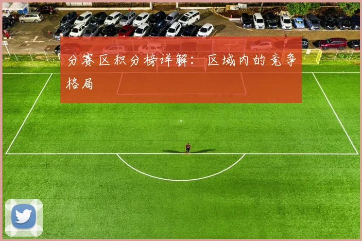 分赛区积分榜详解：区域内的竞争格局