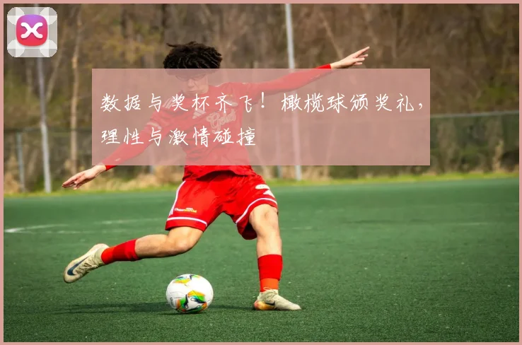 数据与奖杯齐飞!橄榄球颁奖礼,理性与激情碰撞