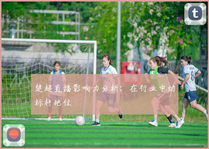 楚超直播影响力分析:在行业中的标杆地位